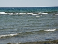 Western Michigan [2010] 868
